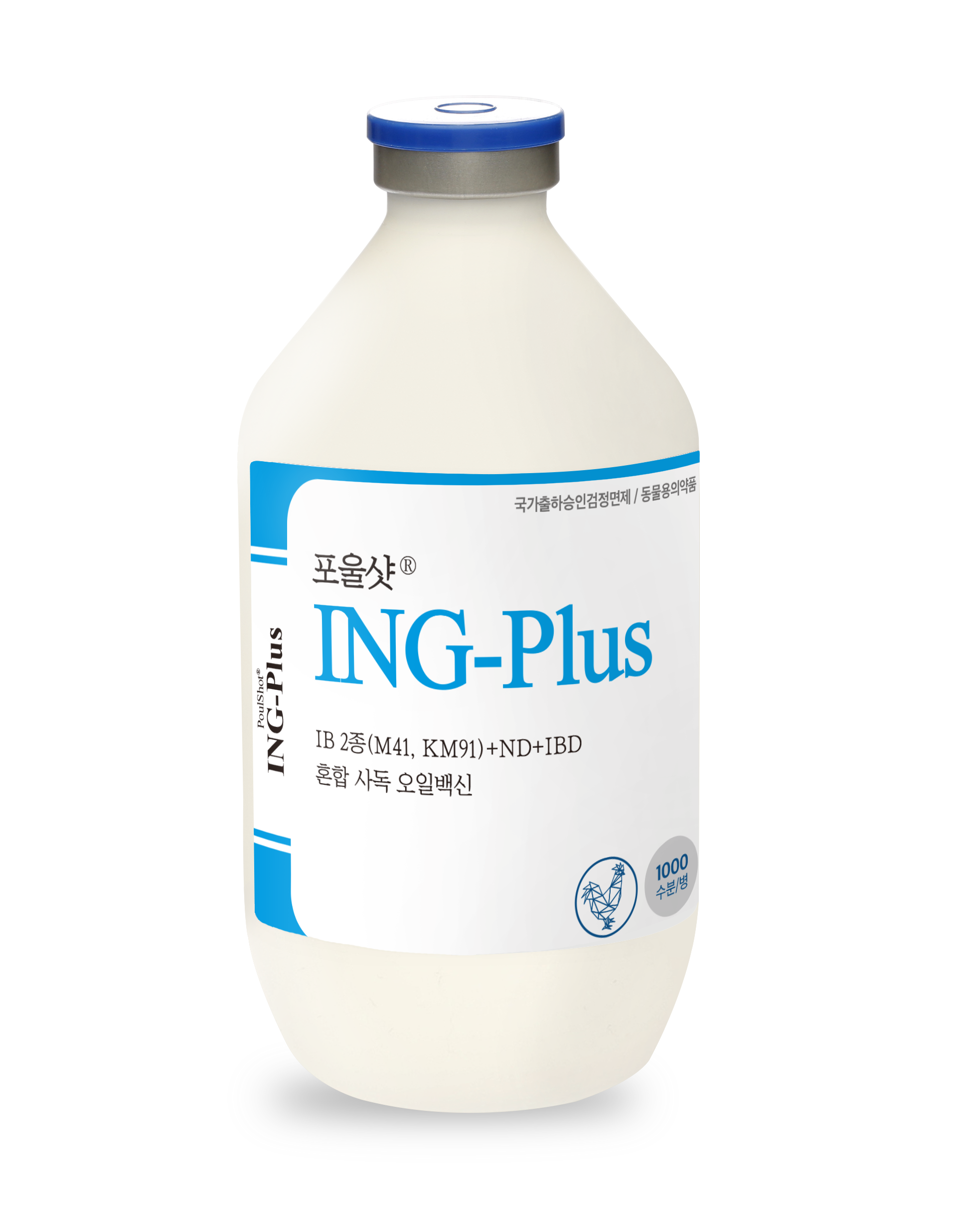 아이엔지-플러스